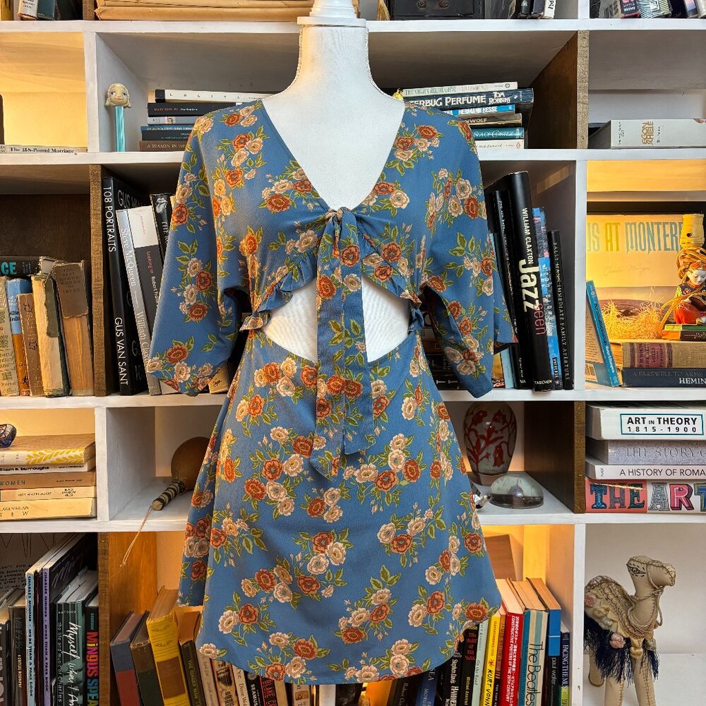 Amuse Society Envy Dress